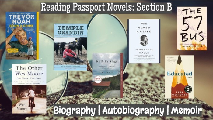 Biography book critiques